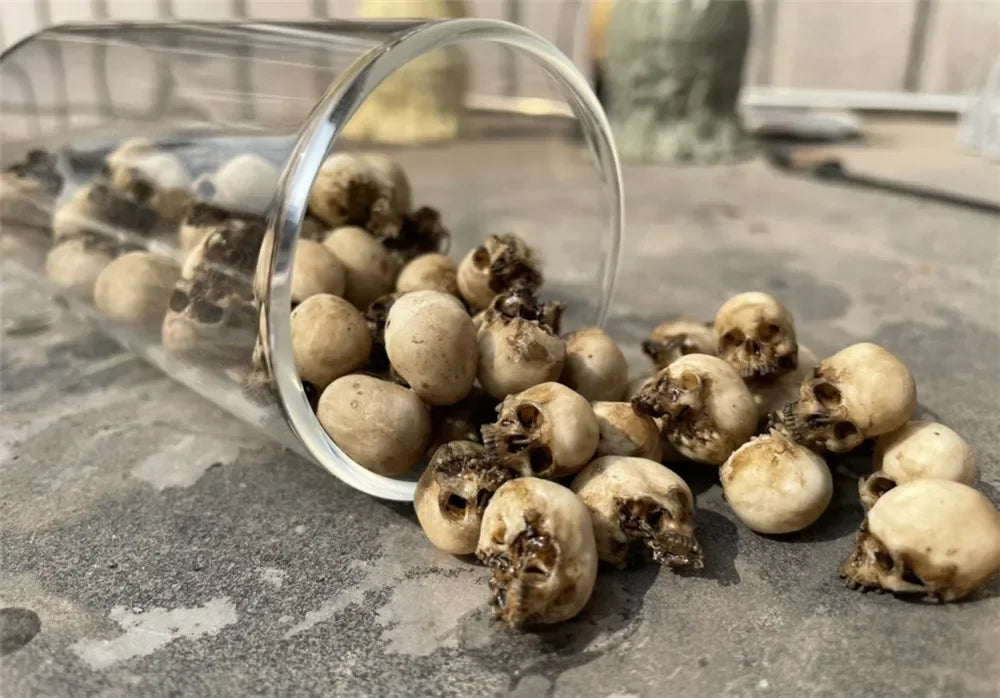 Miniature Skull Decor for Dollhouse & Halloween Scenes