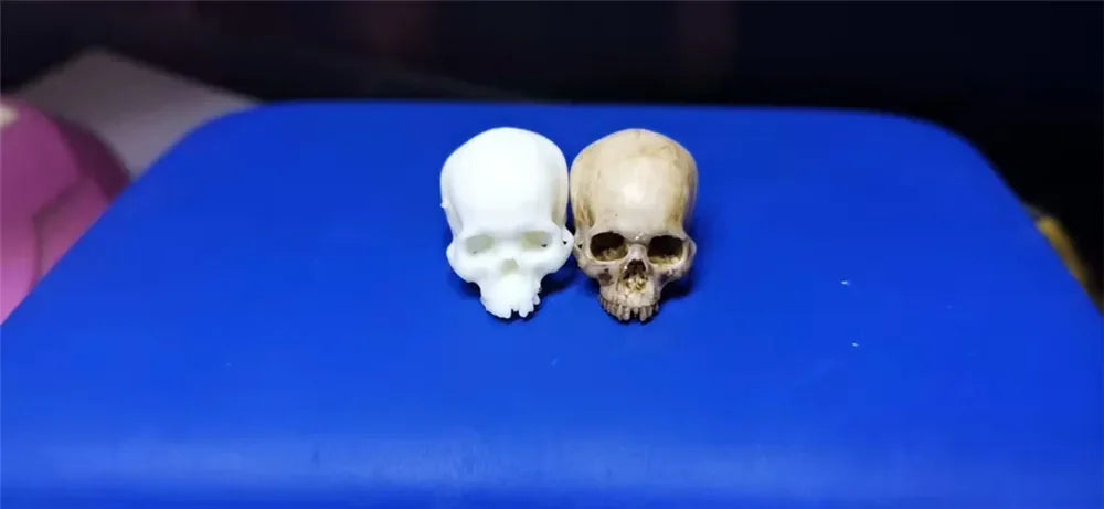 Miniature Skull Decor for Dollhouse & Halloween Scenes