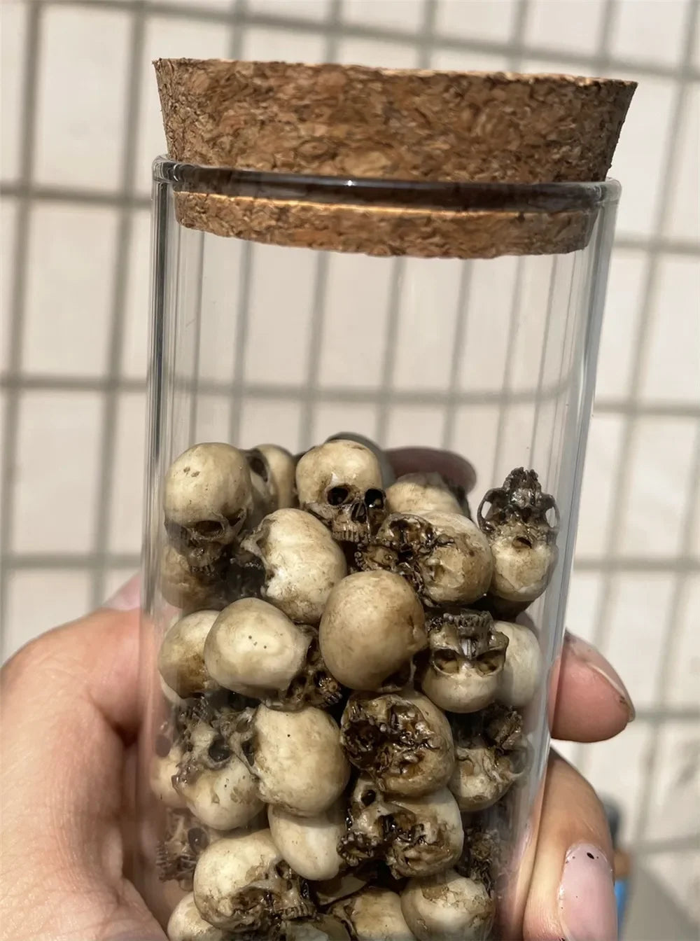 Miniature Skull Decor for Dollhouse & Halloween Scenes