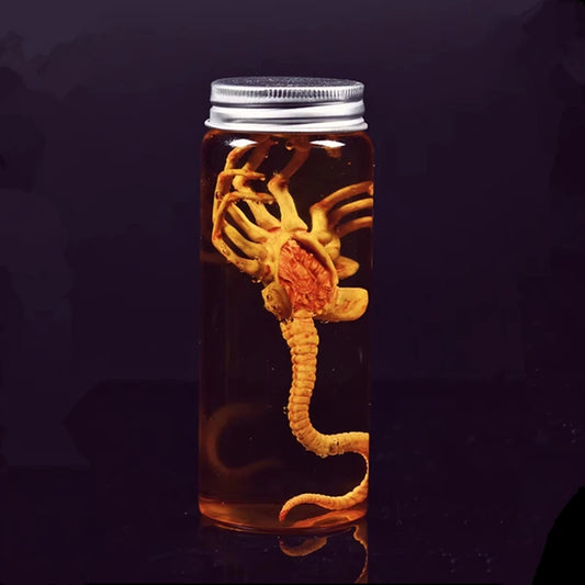 Alien Xenomorph Specimen Jar miniature – complete kit