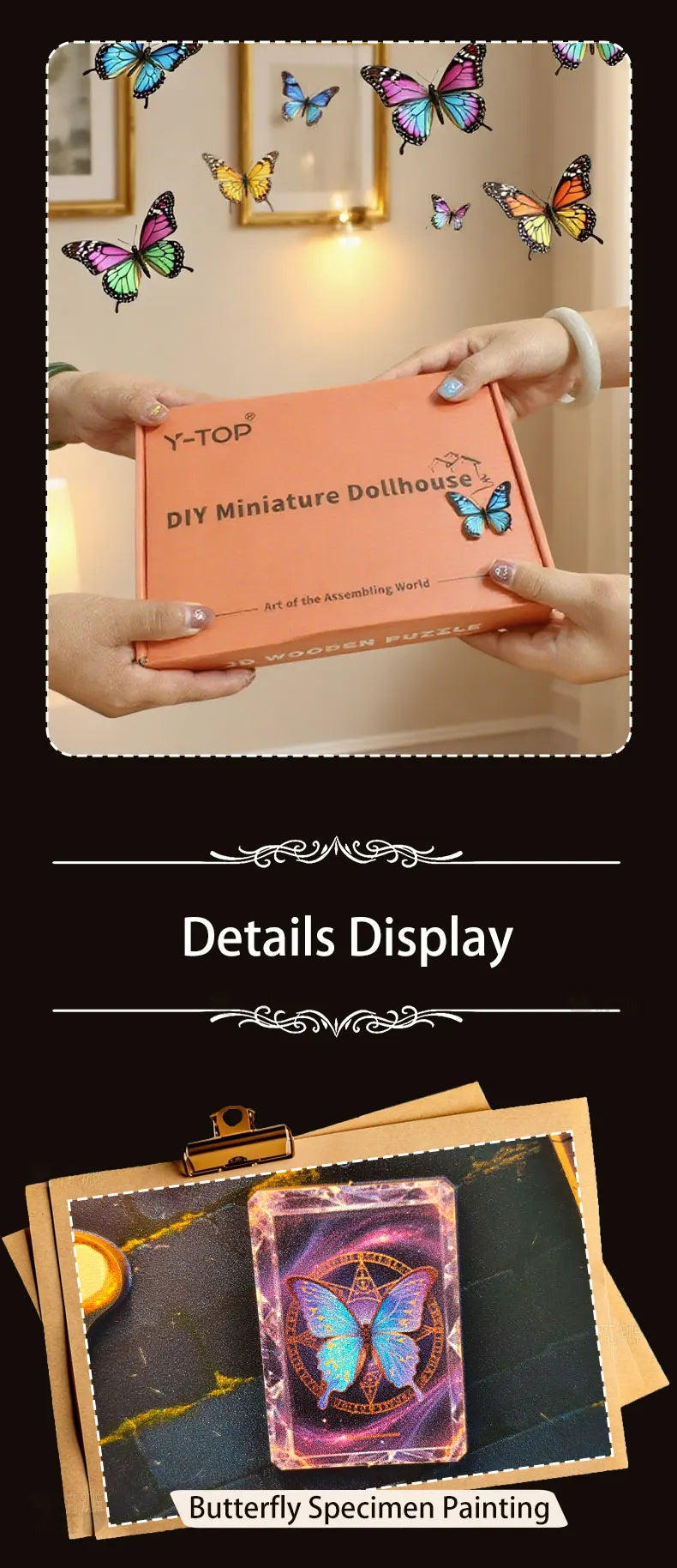 Butterfly Collection Room DIY Miniature House Kit - Finished Display