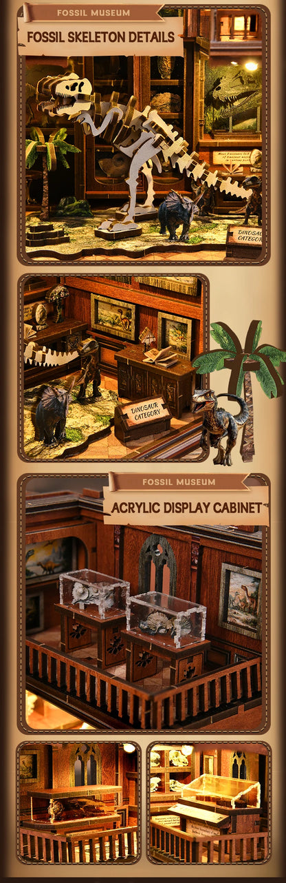 Wooden Fossil Museum Shelf Insert Kits Miniature Model book nook kit – view 15